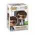 Funko POP! Harry Potter (Casting) Figure