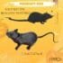 10Pcs Realistic Fake Rat Halloween Decor