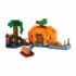 LEGO Minecraft Pumpkin Farm Set 21248