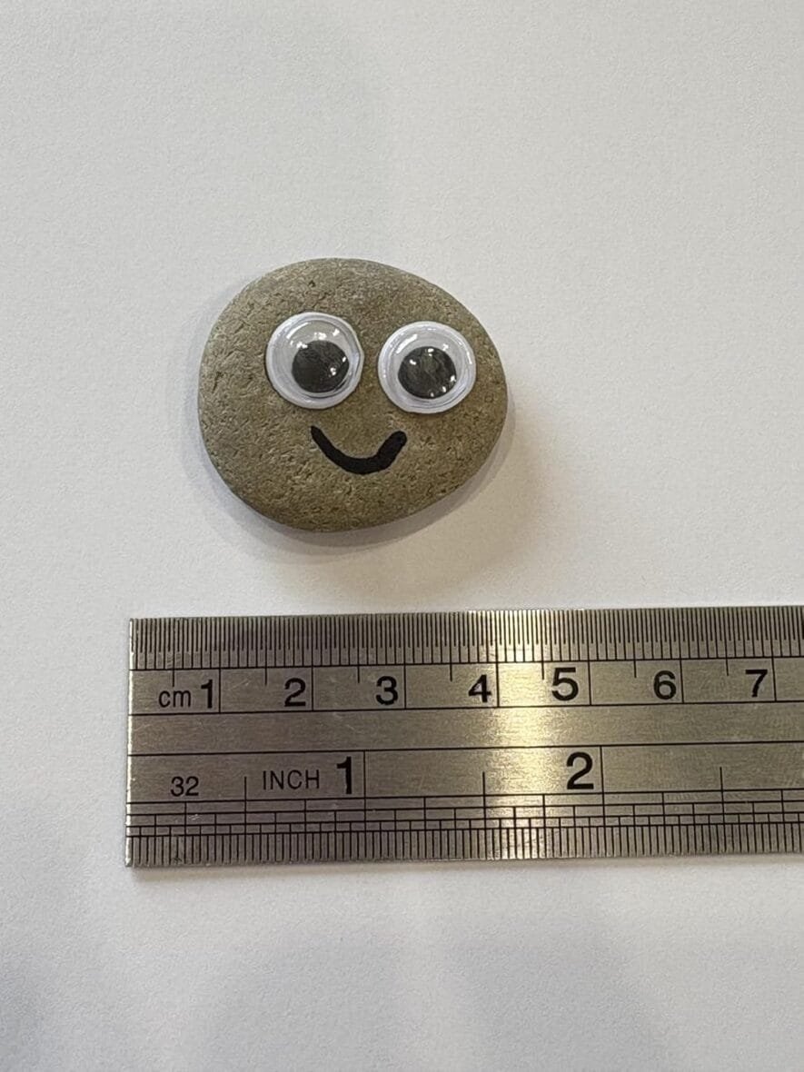 Pet Rock – Fun Gift for Any Occasion