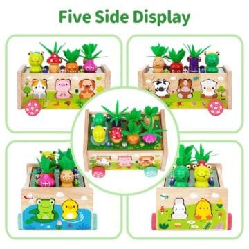 Montessori Wooden Shape Sorting Toys for Toddlers
