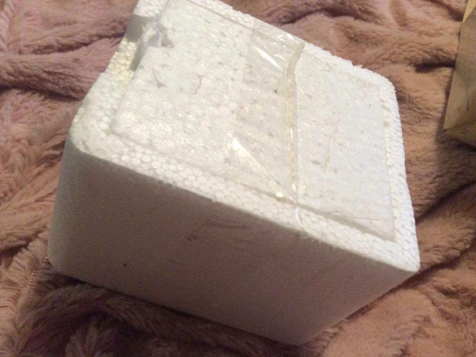 Sealed Cherished Teddies Toy Car No. 219096