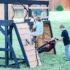 Timber Crossing Cedar Wood Swing Set