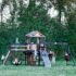 Timber Crossing Cedar Wood Swing Set